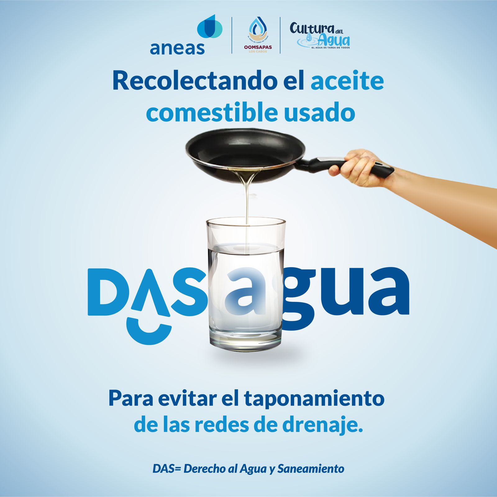 dasagua2