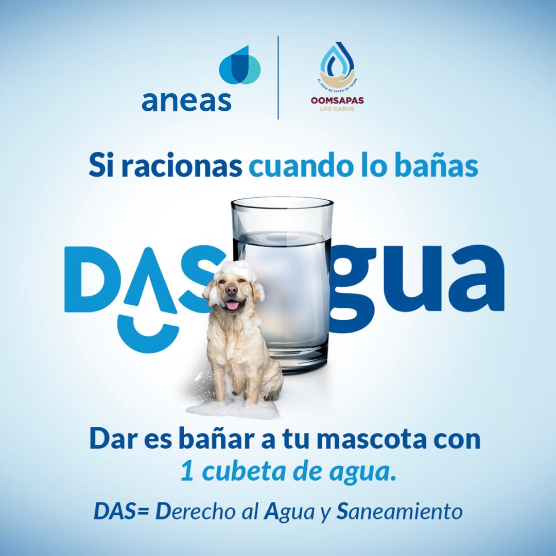 dasagua5